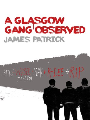 cover image of A Glasgow Gang Observed